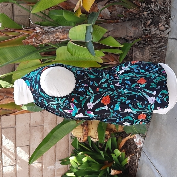 Kate Spade Jardin Poplin Peplum top extra small - Picture 4 of 10